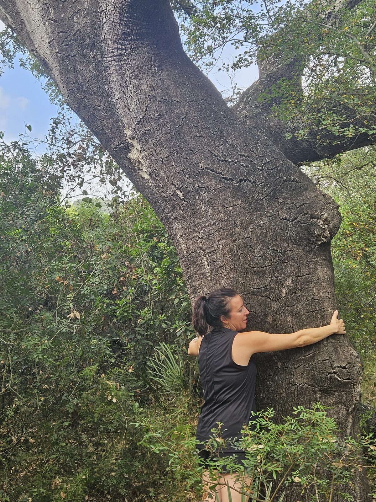 Una participante abrazando el tronco retorcido de un alcornoque enorme en el monte de la Sierra de Espadán